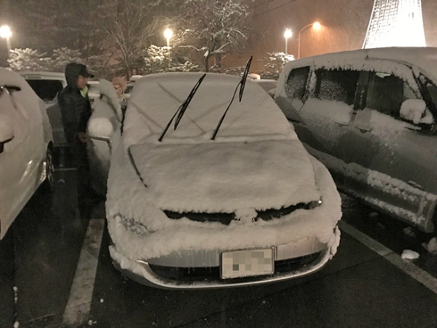 車も真っ白
