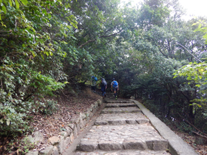 須磨浦公園の階段